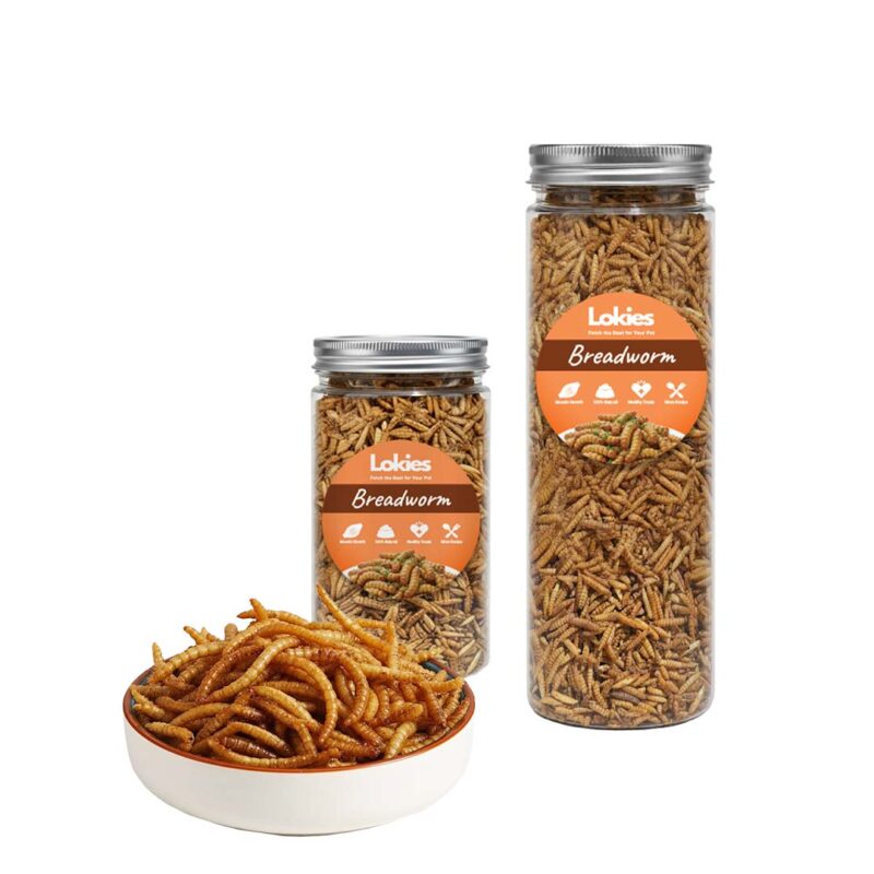 Lokies™ Pet Mealworms (Bread Worms) 80g– High Protein Feed for Birds, Reptiles, Hamsters, Sugar Gliders & Arowana