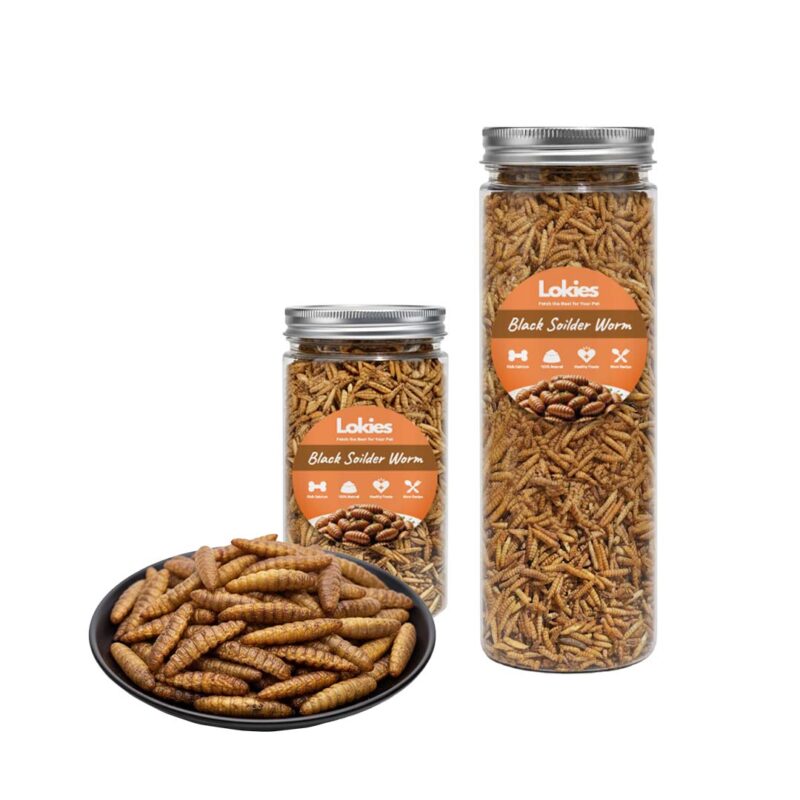 Lokies™ Sustainable Pet Protein Feed – Black Soldier Fly Dry Larvae for Birds, Reptiles, Hamsters, Sugar Glider & Arowana Channa Fish